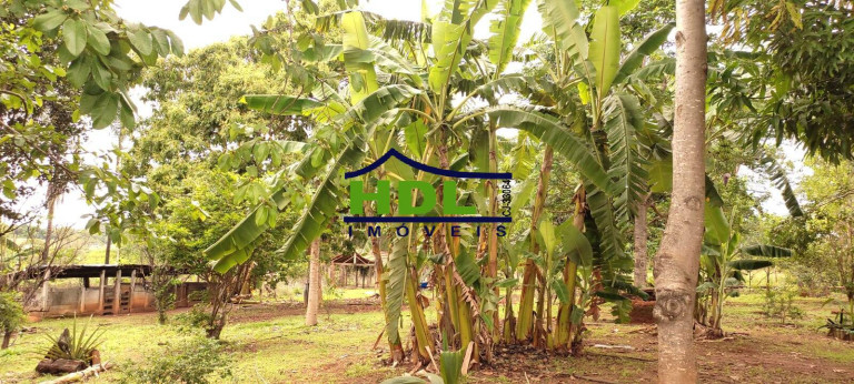 Imagem Chácara com 3 Quartos à Venda, 5 m² em Zona Rural - Hidrolândia Imagem Chácara com 3 Quartos à Venda, 5 m² em Zona Rural - Hidrolândia