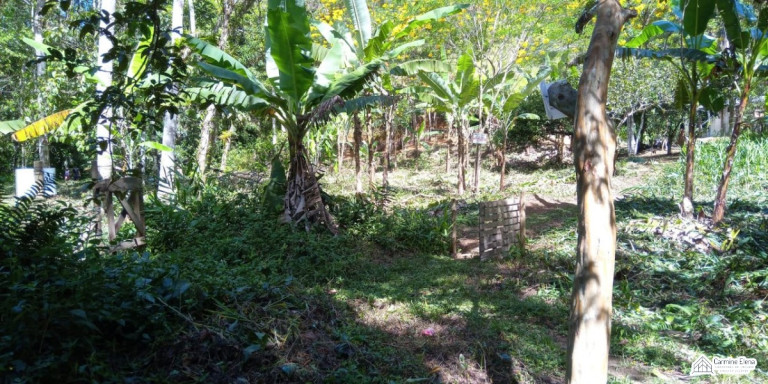 Imagem Terreno à Venda, 4.500 m² em Ubatumirim - Ubatuba