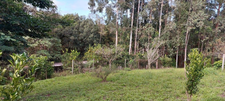 Imagem Chácara com 2 Quartos à Venda, 1 m² em Bateias - Campo Largo
