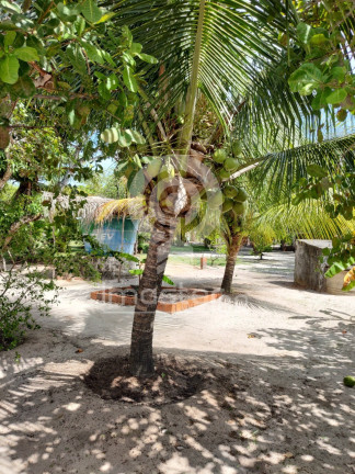 Imagem Imóvel com 4 Quartos à Venda, 1.200 m² em Parque Pecem - Catuana Imagem Imóvel com 4 Quartos à Venda, 1.200 m² em Parque Pecem - Catuana