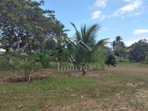 Imagem Fazenda à Venda, 560 m² em Povoado De Itapicirica - Mata De São João