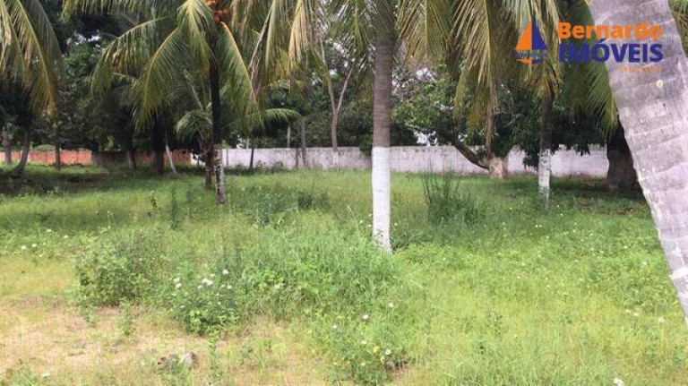 Imagem Chácara com 3 Quartos à Venda, 9 m² em Tijucussú - Cascavel Imagem Chácara com 3 Quartos à Venda, 9 m² em Tijucussú - Cascavel