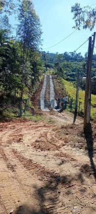 Imagem Chácara à Venda, 20.000 m² em Rio Molha - Jaraguá Do Sul
