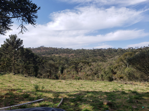 Imagem Imóvel com 1 Quarto à Venda, 20.000 m² em Zona Rural - Urubici Imagem Imóvel com 1 Quarto à Venda, 20.000 m² em Zona Rural - Urubici