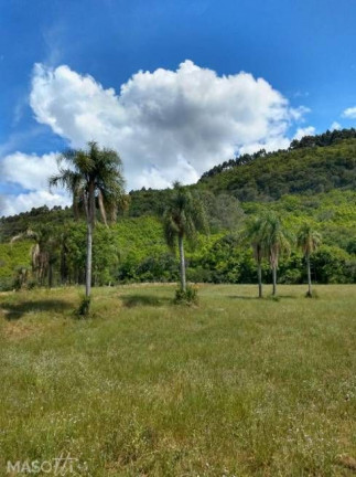 Imagem Chácara à Venda, 19.000 m² em Linha ávila Alta - Gramado Imagem Chácara à Venda, 19.000 m² em Linha ávila Alta - Gramado
