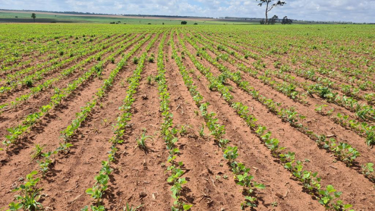 Imagem Imóvel à Venda, 9.680.000 m² em Rural - Bataguassu Imagem Imóvel à Venda, 9.680.000 m² em Rural - Bataguassu