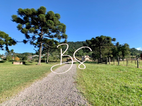 Imagem Imóvel com 2 Quartos à Venda, 40.000 m² em Serra Grande - Gramado Imagem Imóvel com 2 Quartos à Venda, 40.000 m² em Serra Grande - Gramado