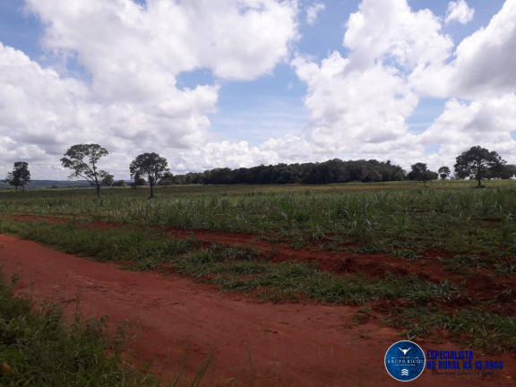 Imagem Chácara à Venda, 13 m² em Zona Rural - Jaraguá Imagem Chácara à Venda, 13 m² em Zona Rural - Jaraguá