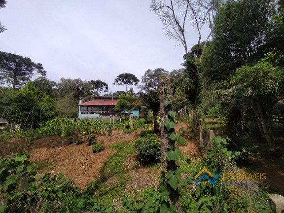 Imagem Chácara com 3 Quartos à Venda, 194 m² em Campestre Da Faxina - São José Dos Pinhais Imagem Chácara com 3 Quartos à Venda, 194 m² em Campestre Da Faxina - São José Dos Pinhais