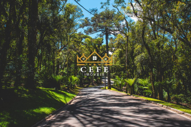 Imagem Casa com 4 Quartos à Venda, 1.096 m² em Centro - Gramado