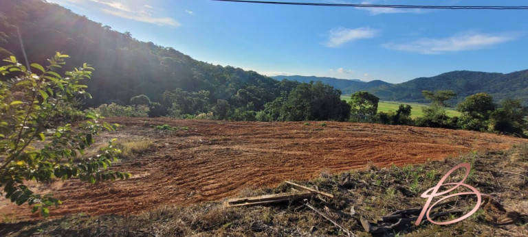 Imagem Imóvel com 2 Quartos à Venda, 40.000 m² em Ilhota - Ilhota