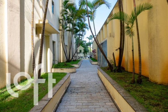 Imagem Apartamento com 3 Quartos à Venda, 72 m² em Vila Ipojuca - São Paulo