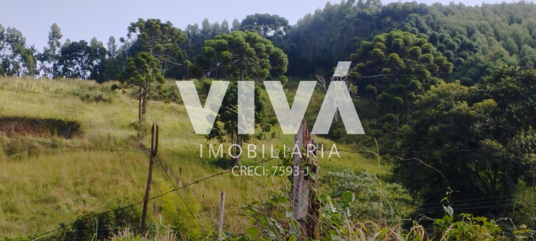 Imagem Terreno à Venda, 12.000 m² em Pinhal Grande - Extrema
