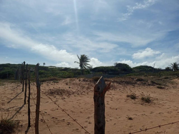 Imagem Terreno à Venda, 900 m² em Tibau Do Sul Imagem Terreno à Venda, 900 m² em Tibau Do Sul