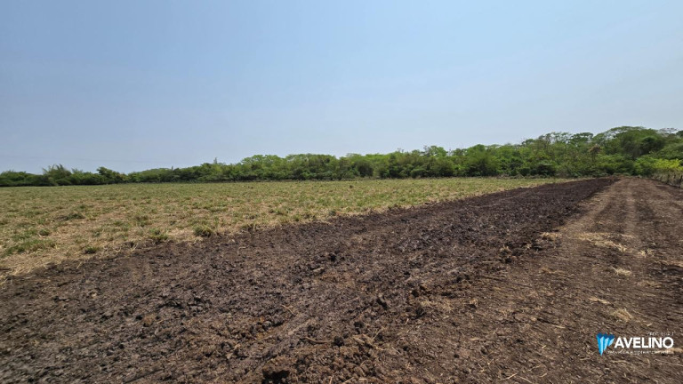 Imóvel com 1 Quarto à Venda, 20.000 m² em Zona Rural - Fátima Do Sul