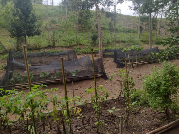 Imagem Chácara com 3 Quartos à Venda, 100 m² em Zona Rural - São Luíz Do Paraitinga Imagem Chácara com 3 Quartos à Venda, 100 m² em Zona Rural - São Luíz Do Paraitinga