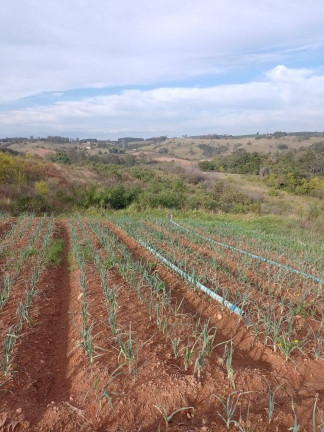 Imagem Chácara à Venda, 133 m² em Bairro Dos Leites - Piedade Imagem Chácara à Venda, 133 m² em Bairro Dos Leites - Piedade