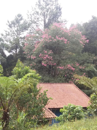 Imagem Imóvel com 3 Quartos à Venda, 13.504 m² em Somma - Ribeirão Pires