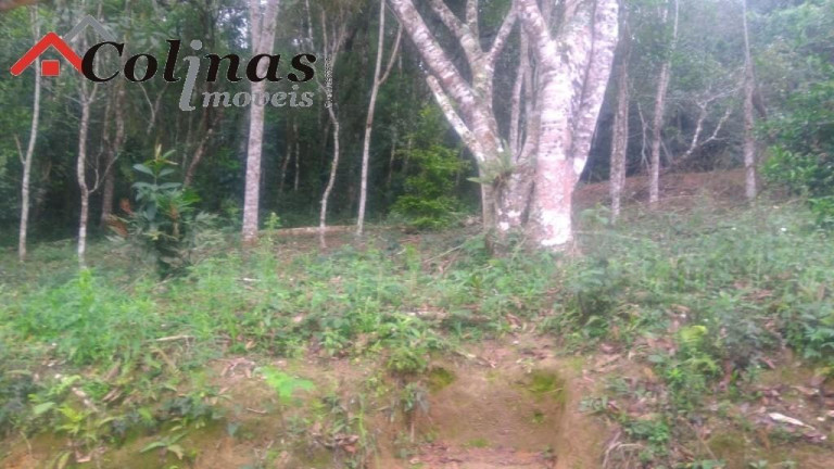 Imagem Imóvel com 3 Quartos à Venda, em Depois Do Centro - Ibiúna Imagem Imóvel com 3 Quartos à Venda, em Depois Do Centro - Ibiúna