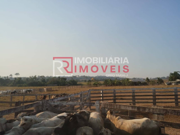 Imagem Fazenda à Venda, 470 m² em Zona Rural - Paranaíta Imagem Fazenda à Venda, 470 m² em Zona Rural - Paranaíta