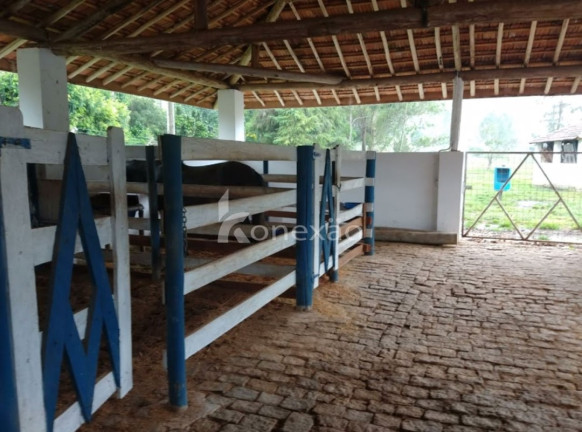 Imagem Fazenda à Venda, 100 m² em Cachoeira Grande - Lagoinha Imagem Fazenda à Venda, 100 m² em Cachoeira Grande - Lagoinha