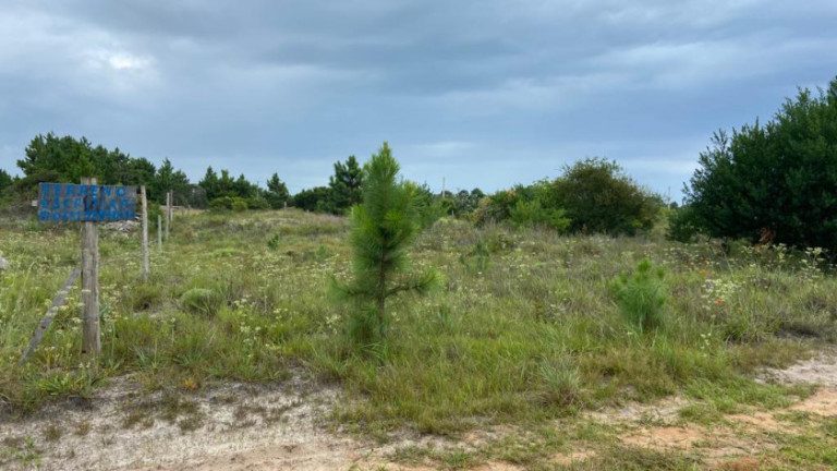 Terreno à Venda, 300 m² em Centro - Torres