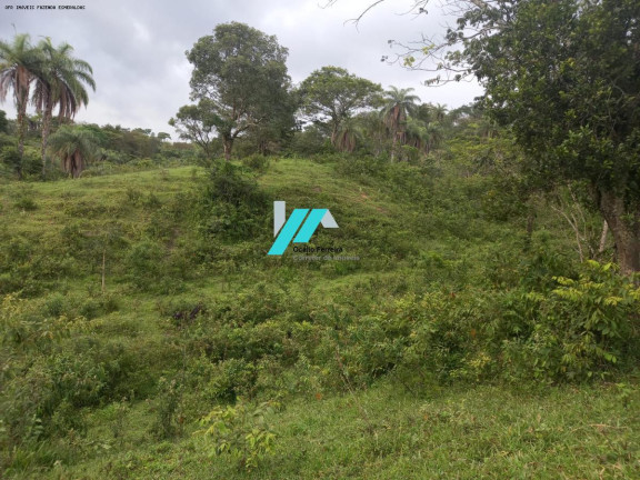 Imagem Fazenda à Venda, 27 m² em Caio Martins - Esmeraldas Imagem Fazenda à Venda, 27 m² em Caio Martins - Esmeraldas
