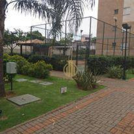 Imagem Apartamento com 2 Quartos à Venda, 47 m² em Campos Elíseos - Ribeirão Preto Imagem Apartamento com 2 Quartos à Venda, 47 m² em Campos Elíseos - Ribeirão Preto