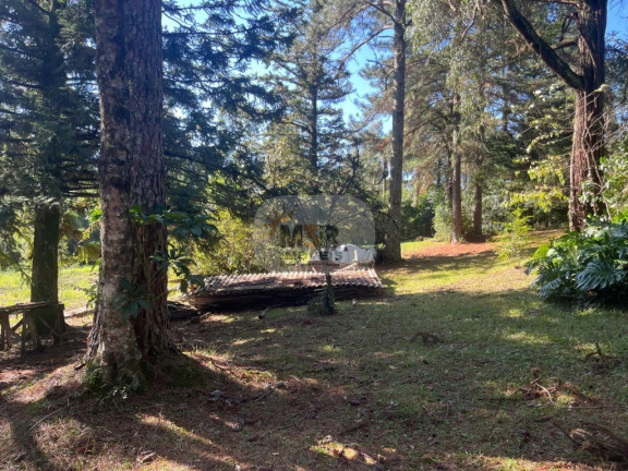 Imagem Terreno à Venda, 5.633 m² em Pousada Da Neve - Nova Petrópolis Imagem Terreno à Venda, 5.633 m² em Pousada Da Neve - Nova Petrópolis