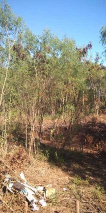 Imagem Imóvel à Venda, 5.909 m² em Campo Grande - Rio De Janeiro Imagem Imóvel à Venda, 5.909 m² em Campo Grande - Rio De Janeiro