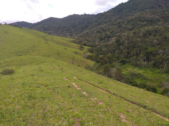 Imagem Fazenda à Venda, 9.790.000 m² em Centro - Trajano De Morais Imagem Fazenda à Venda, 9.790.000 m² em Centro - Trajano De Morais
