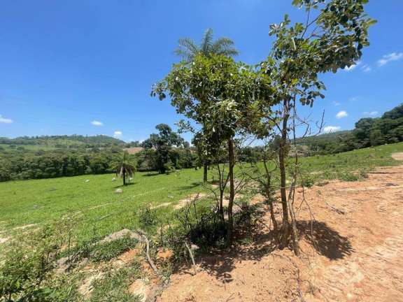 Imagem Terreno à Venda, 20.000 m² em Freitas - Itaúna Imagem Terreno à Venda, 20.000 m² em Freitas - Itaúna
