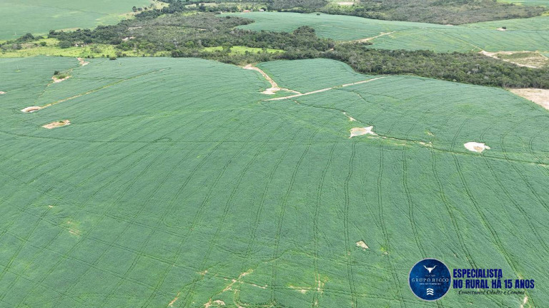 Imagem Fazenda à Venda, 73 m² em Zona Rural - Abadiânia Imagem Fazenda à Venda, 73 m² em Zona Rural - Abadiânia