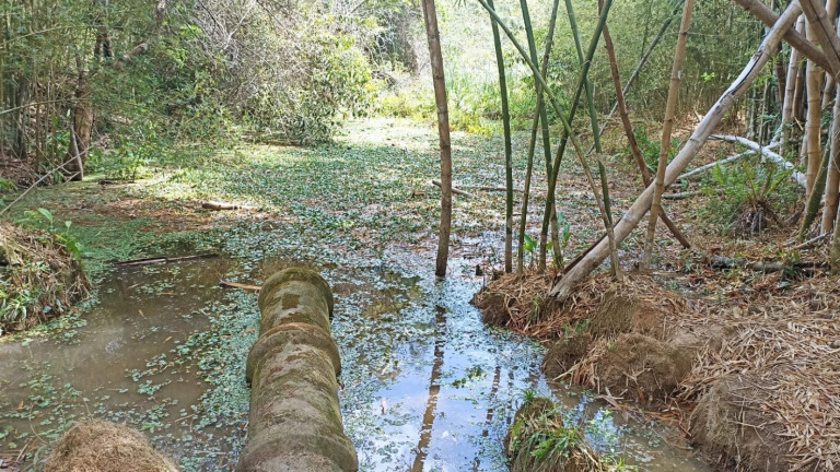 Imagem Chácara com 1 Quarto à Venda, 10 m² em Capim Da Angola - Paraibuna