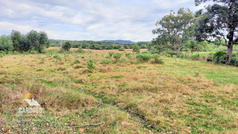 Imagem Fazenda à Venda, 20.000 m² em águas Claras - Viamão Imagem Fazenda à Venda, 20.000 m² em águas Claras - Viamão