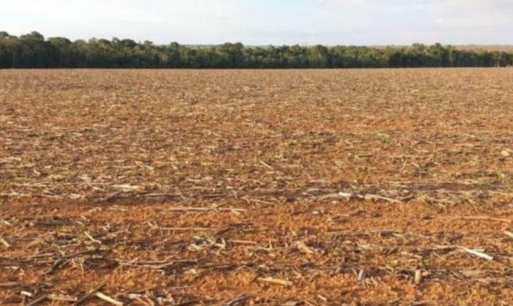 Imagem Imóvel à Venda, 16.115 m² em área Rural De Porto Alegre Do Norte - Porto Alegre Do Norte Imagem Imóvel à Venda, 16.115 m² em área Rural De Porto Alegre Do Norte - Porto Alegre Do Norte
