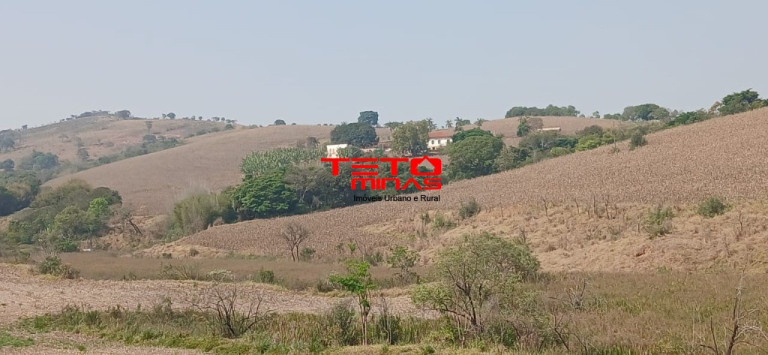 Imagem Imóvel com 4 Quartos à Venda,  em Zona Rural - Conceição Do Rio Verde