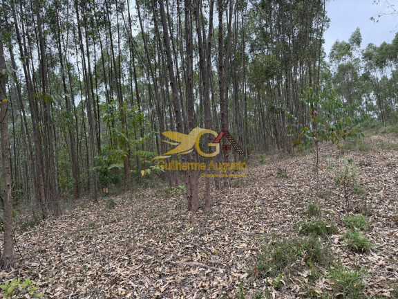 Imagem Terreno à Venda, 56 m² em Emboabas - São João Del Rei Imagem Terreno à Venda, 56 m² em Emboabas - São João Del Rei