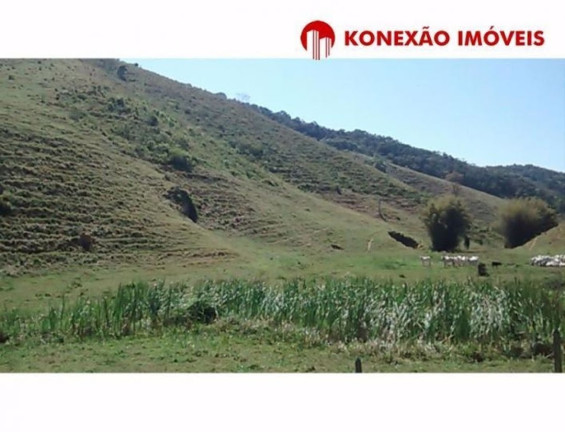 Imagem Fazenda à Venda, 100 m² em Pouso Alto - Natividade Da Serra Imagem Fazenda à Venda, 100 m² em Pouso Alto - Natividade Da Serra