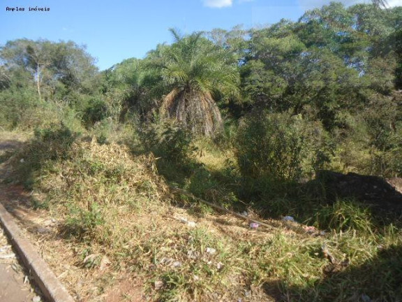 Imagem Terreno à Venda, 377 m² em Residencial Campo-da Canela - Mateus Leme