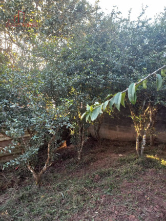Imagem Casa com 1 Quarto à Venda, 100 m² em Jardim Novo Parelheiros - São Paulo Imagem Casa com 1 Quarto à Venda, 100 m² em Jardim Novo Parelheiros - São Paulo