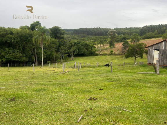 Imagem Chácara com 2 Quartos à Venda, 32.000 m² em Fazenda Fialho - Taquara Imagem Chácara com 2 Quartos à Venda, 32.000 m² em Fazenda Fialho - Taquara
