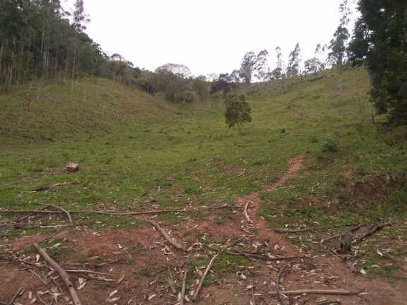 Imagem Fazenda à Venda, 600 m² em Lagoa - Paraibuna