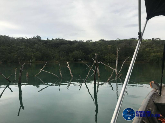 Imagem Chácara com 3 Quartos à Venda, 2 m² em Zona Rural - Luziânia Imagem Chácara com 3 Quartos à Venda, 2 m² em Zona Rural - Luziânia