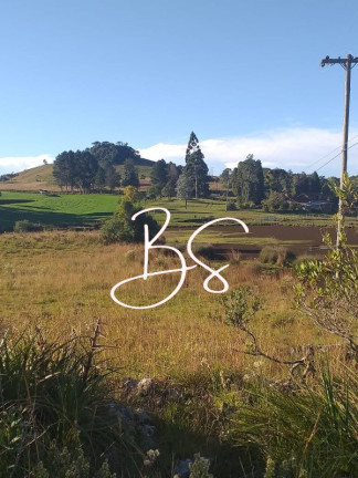 Imagem Imóvel com 3 Quartos à Venda, em Centro - Caxias Do Sul Imagem Imóvel com 3 Quartos à Venda, em Centro - Caxias Do Sul