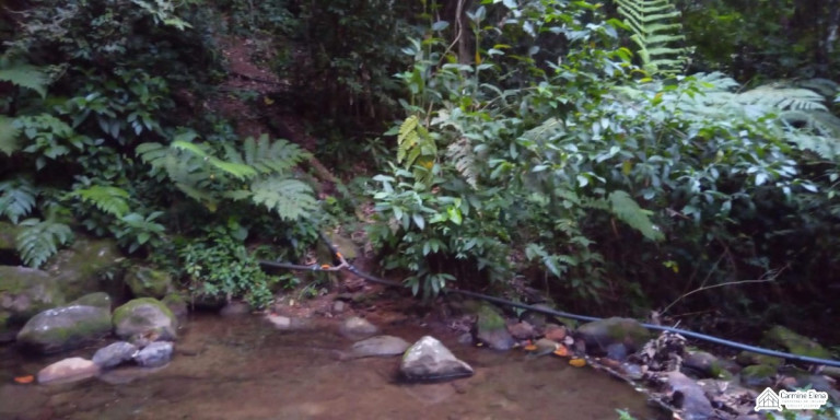 Imagem Terreno à Venda, 4.500 m² em Ubatumirim - Ubatuba