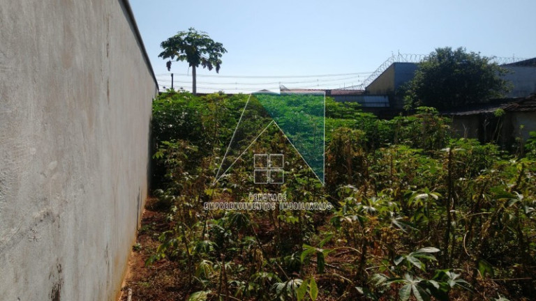 Imagem Terreno para Alugar, em Campos Eliseos - Ribeirão Preto Imagem Terreno para Alugar, em Campos Eliseos - Ribeirão Preto