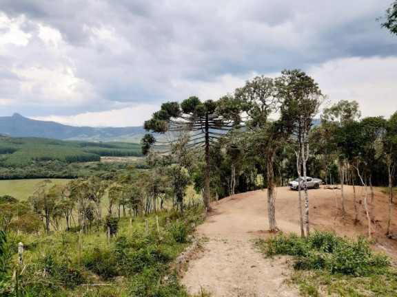 Imagem Imóvel à Venda, 28.900 m² em Zona Rural - Bom Retiro Imagem Imóvel à Venda, 28.900 m² em Zona Rural - Bom Retiro
