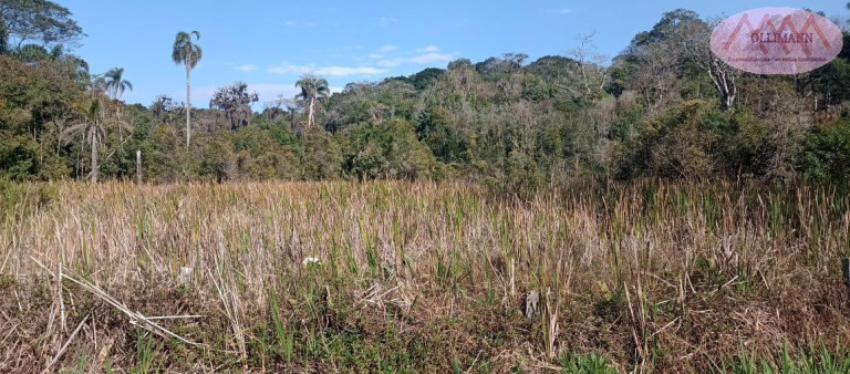 Imagem Terreno à Venda, 23.390 m² em Salisópolis - Salesópolis