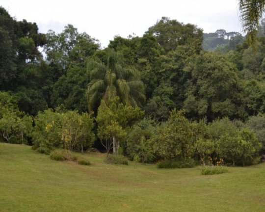 Imagem Imóvel com 3 Quartos à Venda, em Vale Verde - Nova Petrópolis Imagem Imóvel com 3 Quartos à Venda, em Vale Verde - Nova Petrópolis